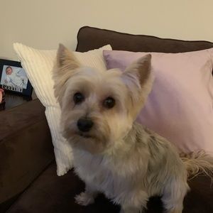 Meet your Posher, Theresa